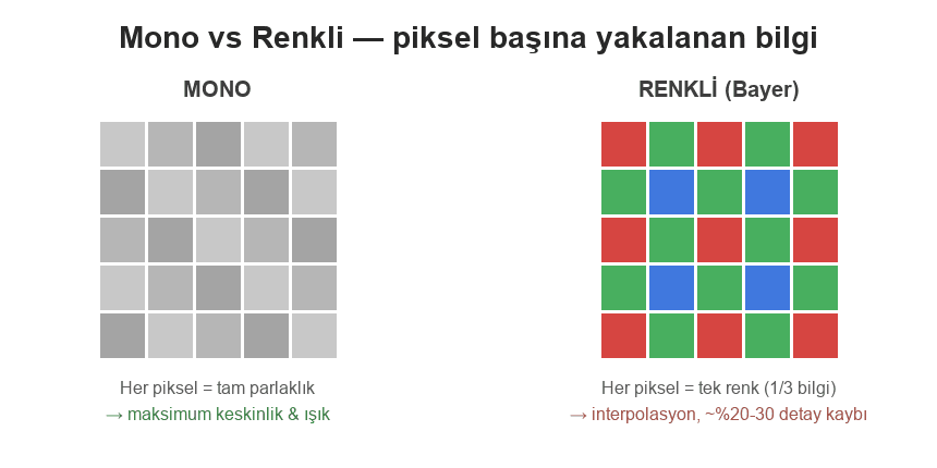 Mono mu Renkli mi? Bayer Filtresi, Keskinlik ve Işık Hassasiyeti